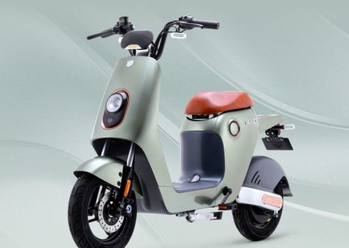 1500和3500的電動(dòng)車(chē)有什么區(qū)別 買(mǎi)哪個(gè)更劃算 聽(tīng)聽(tīng)行內(nèi)人怎么說(shuō)