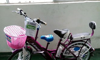 深圳電動(dòng)車(chē)價(jià)格解析 40公里續(xù)航的工廠批發(fā)僅1450元